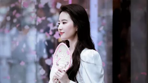 日本本州东部远海地震